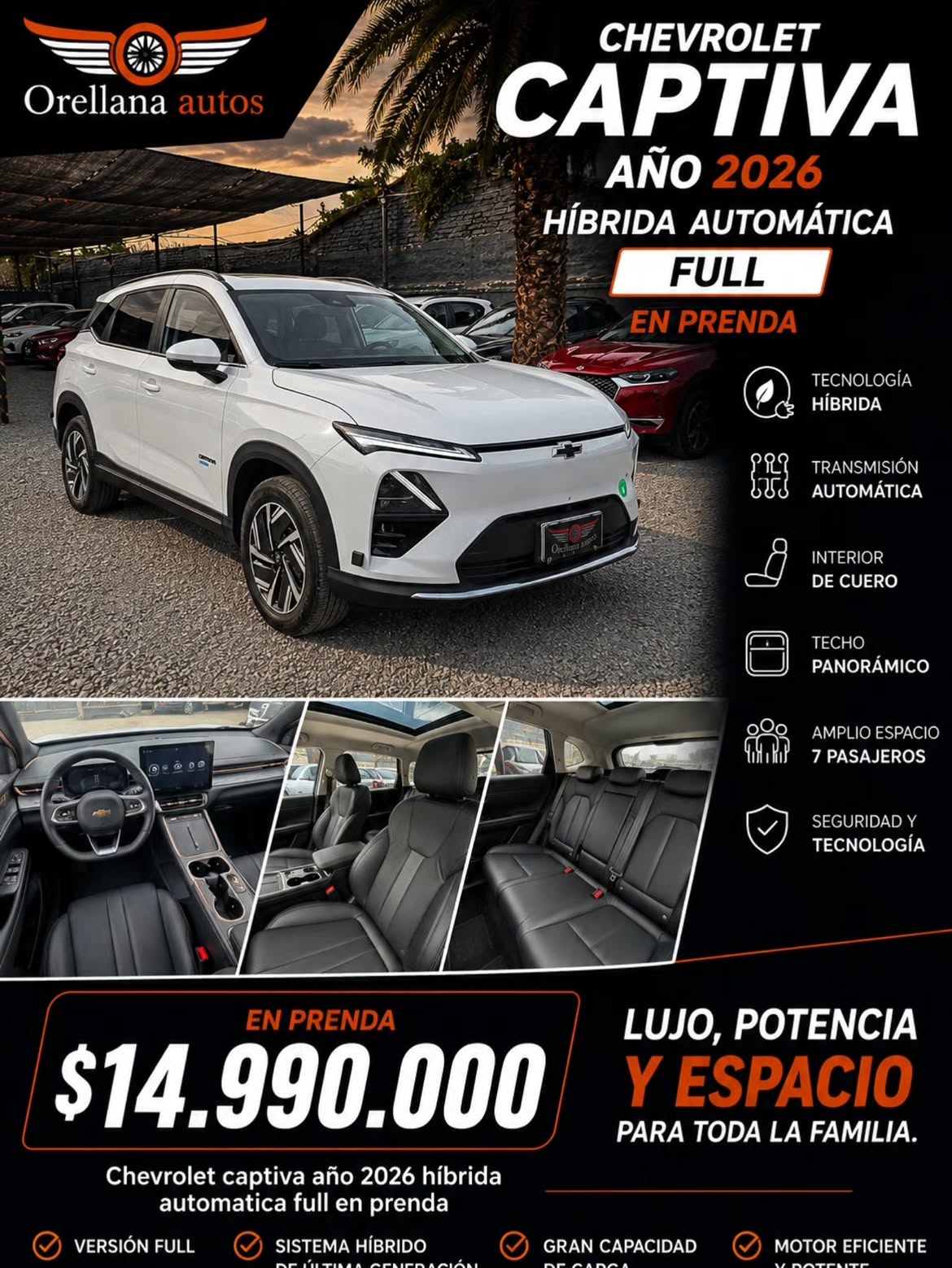 Showroom Orellana 1