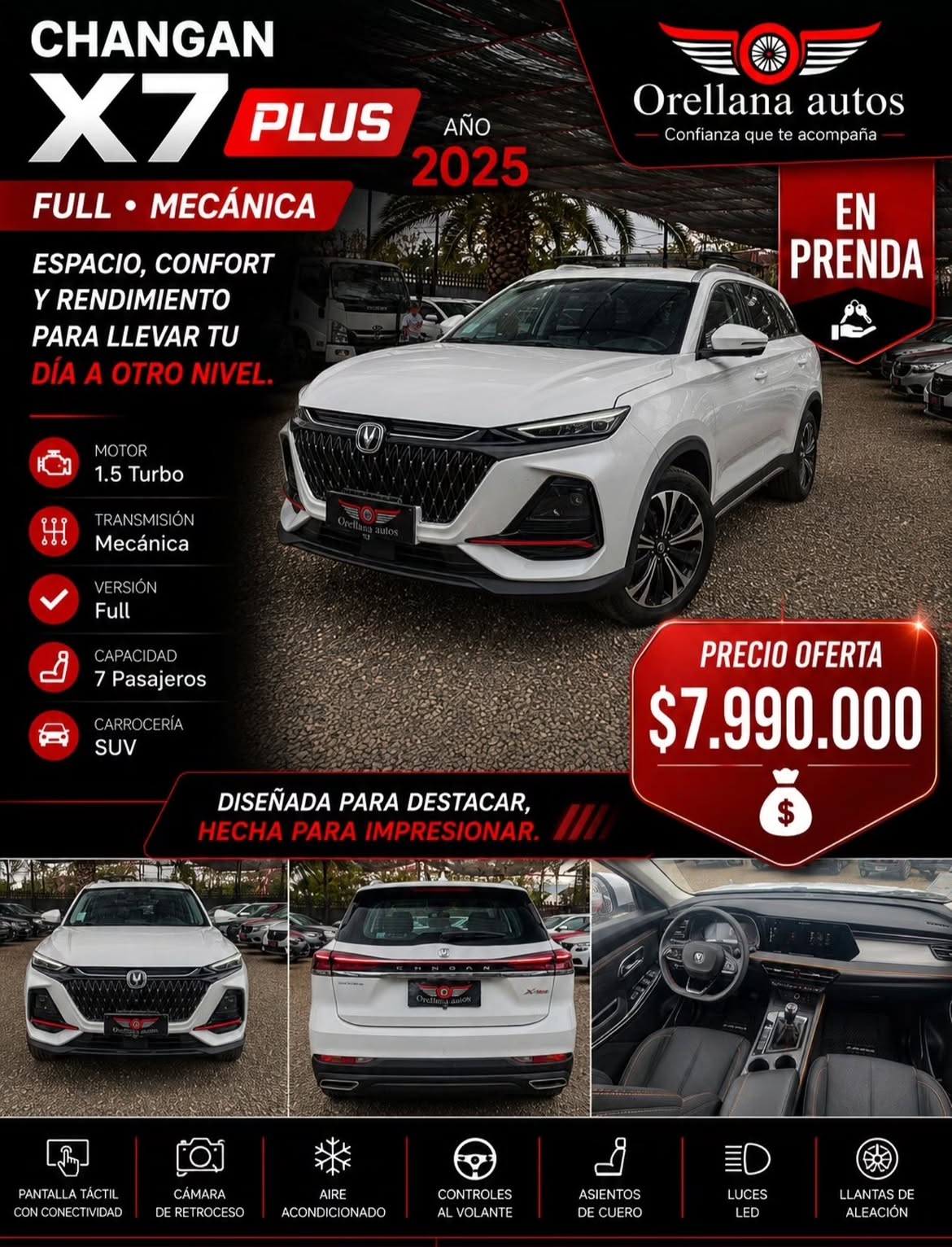Showroom Orellana 2