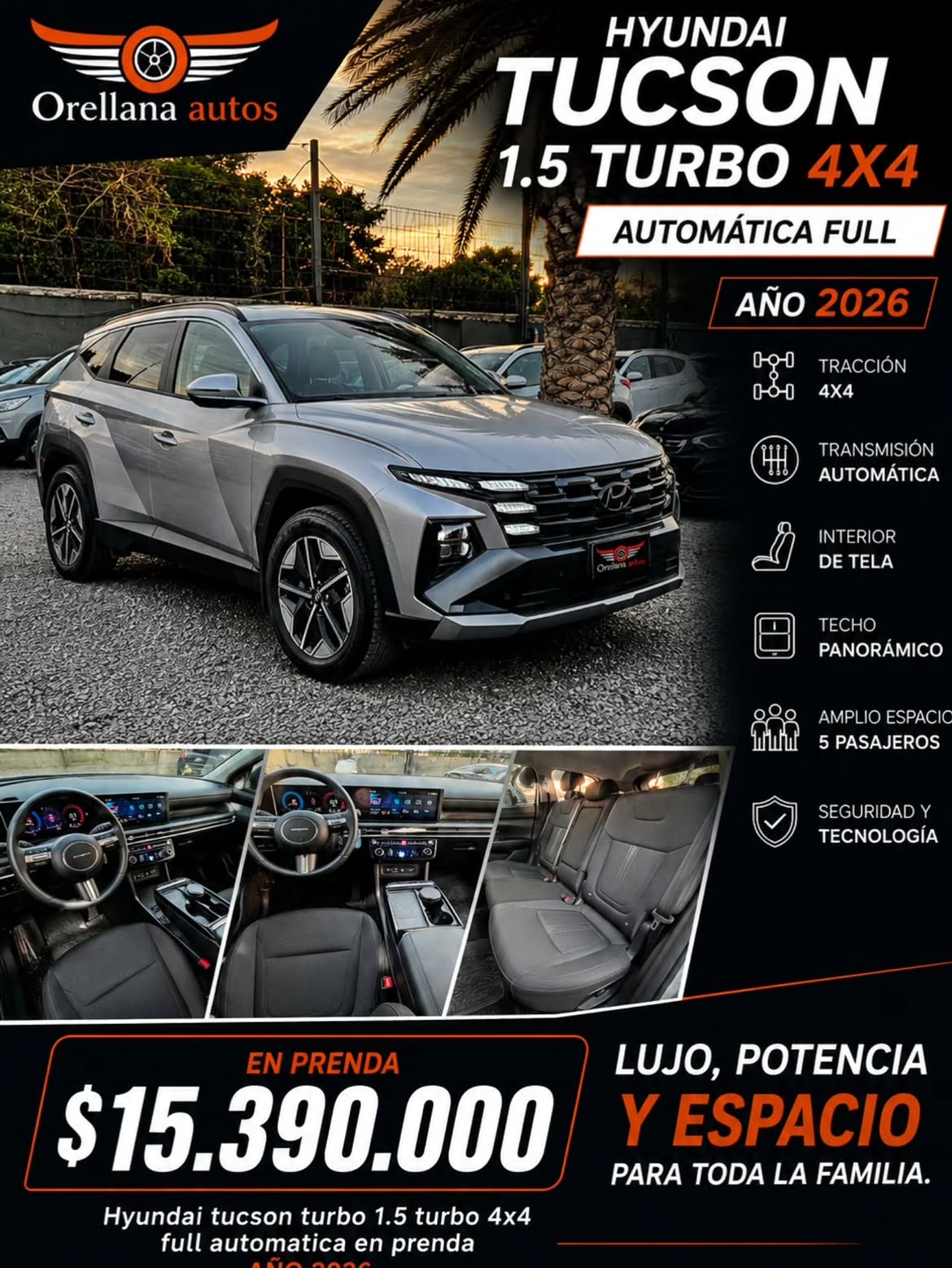 Showroom Orellana 3